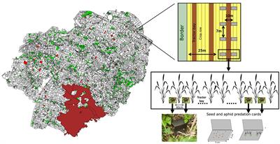 Proportion of Grassland at Landscape Scale Drives Natural Pest Control Services in Agricultural Landscapes